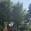 퀸 | 서울 글램핑 추천 피카푸 피크닉앤글램핑 서울YMCA 도봉산점 이지캠핑 글램핑텐트 후기 (1탄)