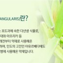 앤에스디