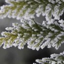 다빈치엑스티 이미지