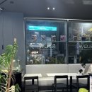 커피(coffee)란 | [강남 역삼 거북이,도마뱀 볼수있는 이색카페 추천]슬로우 커피 SLOW COFFEE 후기::