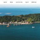 고흥 - 동대문구 | 고흥