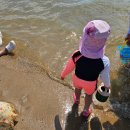 광암마트 | 광암해수욕장 : 창원 아이와가볼만한곳 모래놀이 추천