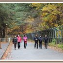 삼화초등학교 이미지