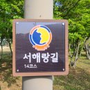 상마 이미지