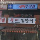 불티꼼장어 이미지