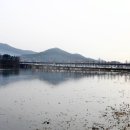완도수산횟집 네이버블로그