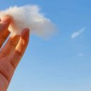 솜사탕PC 이미지