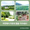 춘천태동요양병원 이미지