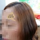 비오미장