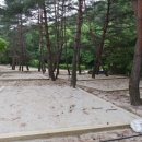 용하공원1 이미지