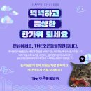 더조은동물병원 이미지