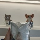 견공수라상 | 수제간식 나주애견수제간식 나주강아지간식 나주애견간식 강아지수제간식 반려동물수제간식 견공수라상