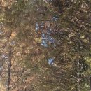 다짐을 한다 이미지