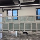 하동동물병원 이미지