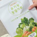 바른야채 네이버블로그