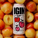 GS25 범어광장점 | 도수낮은술을 찾는다면 BTS진과 함께하는 GS 편의점 하이볼 아이긴(IGIN) 새콤토닉