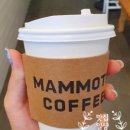 매머드익스프레스문정SKV1 - 89918 | 매머드익스프레스문정SKV1