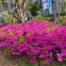 네오더퍼스트 이미지