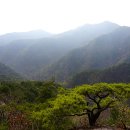 신도안면사무소 이미지