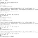 BadMaskError_Cisco Packet Tracer 9.0.1 Network 구축하기 중 라우터 설정 이미지