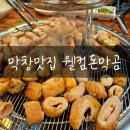 웰컴돈.막.곰 이미지