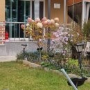 도혜원민박 이미지