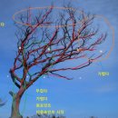 컷트이야기 이미지