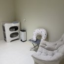 피자마루 수유점 | [청주 아기랑 가볼만한곳] 청주 유일 베이비 수영장 '달콩퐁당' 솔직후기 (주차/예약/꿀팁)