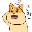 달콤하개 이미지