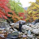 지리산 단풍비 이미지