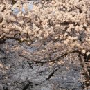 구림보건지소 이미지