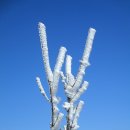 180306 가지산 (배내고개-능동산-가지산-쌀바위-석남사-석남사주차장) 이미지