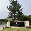 속초여행 한화리조트 설악 쏘라노 디럭스 모던 숙박 후기