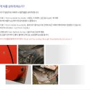 테로손분당