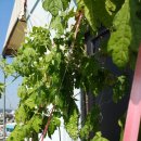 여주하늘정원 이미지