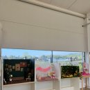 강아지테마미용실 이미지