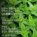 "성남시 '창곡천'과 '위례공원' 걷기"＜2024.05.06(월)＞ 이미지