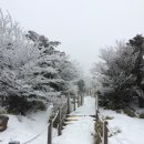 그린게스트하우스 이미지