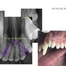튼튼동물치과병원 이미지