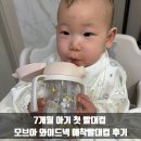 빨대 | 7개월 아기 첫 빨대컵 모브아 와이드넥 애착빨대컵 후기