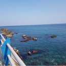 돌섬횟집 이미지