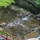 소나무집민박 이미지