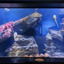 섬진강어류생태관 이미지