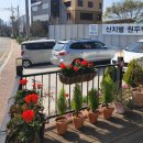 히왓리 이미지