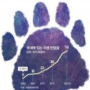 그냥 심심해서요. (12777) 지리산 반달곰 이미지