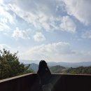 똘똘이막창 | 대구 가을여행 단풍구경 식물원 사유원