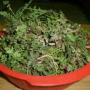 별미밥상 이미지