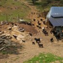 솔미농장 이미지