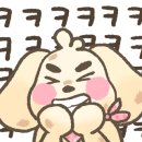 예원미트 이미지
