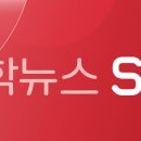 조치원소방서(연서119안전센터) 조선비즈